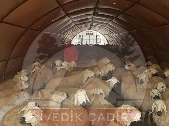 Borulu Sistem Çadır