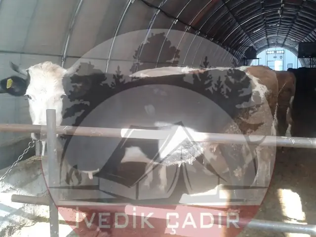 Borulu Sistem Çadır