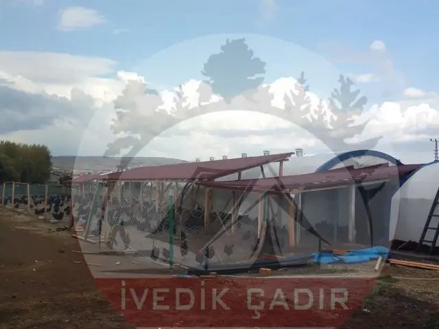 Tavuk (Kümes) Çadırı