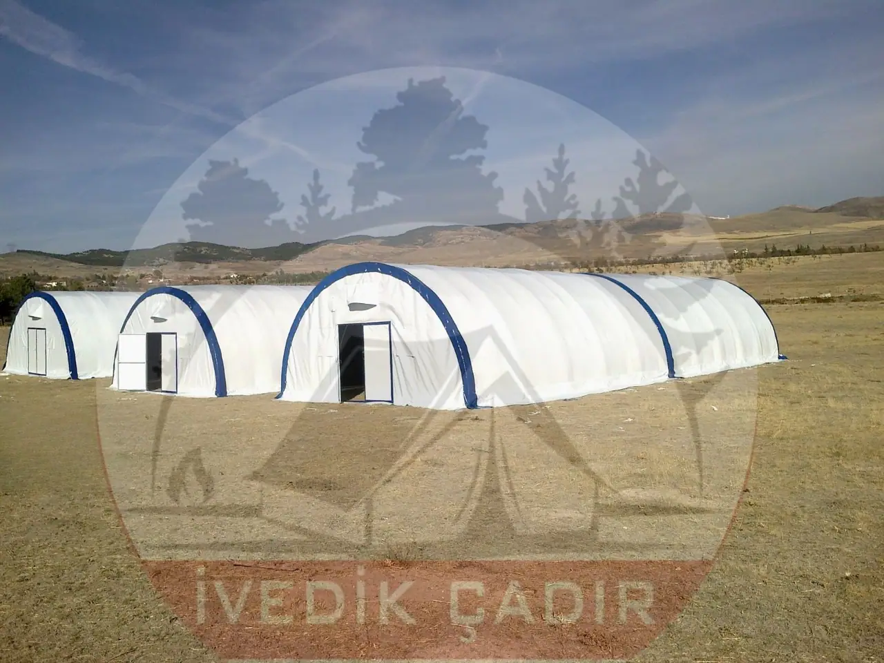 Solucan ve Mantar Çadırı