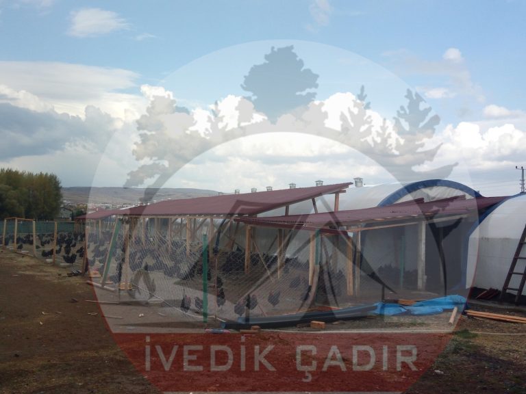 kumes-hayvan-cadiri-3